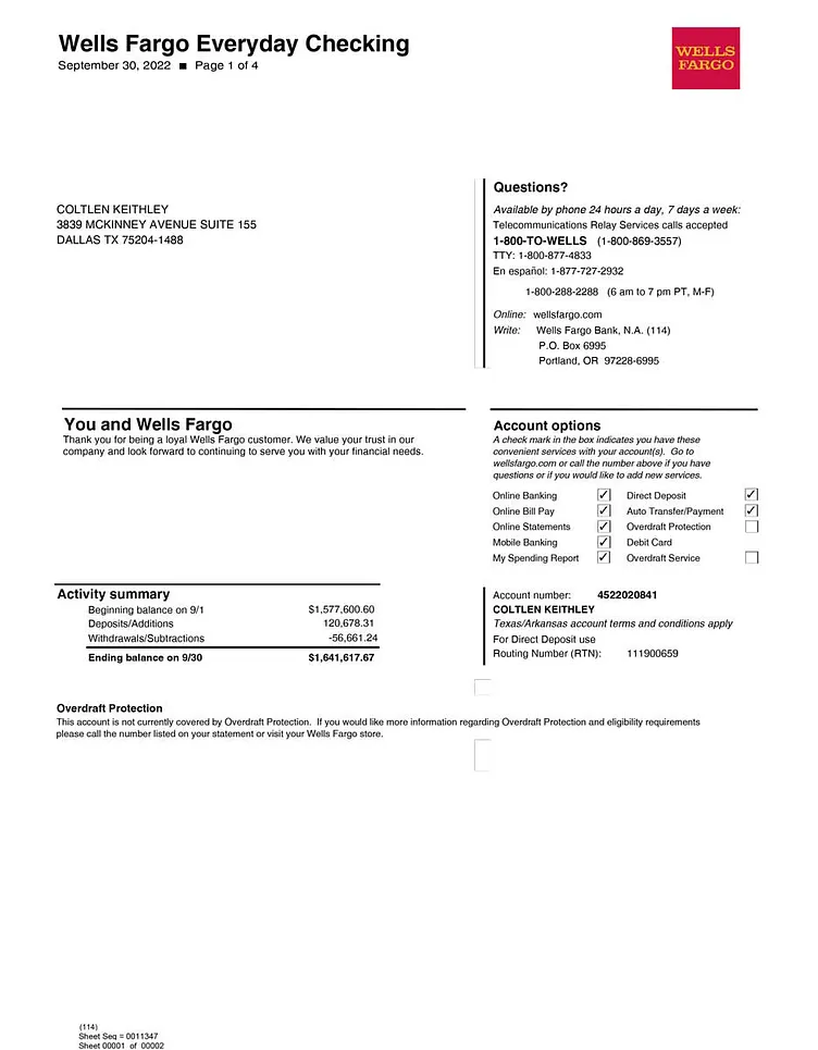 Wells fargo bank statement Template PDF 1